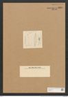 Schizonema hyalinum (Kuetz.) Rabenh. (de-Toni-Nr.: Genus 20, Species 1189) Zeichnungen Sammlung Grunow Nr. 2295 (NHMW-BOT-W0369417)